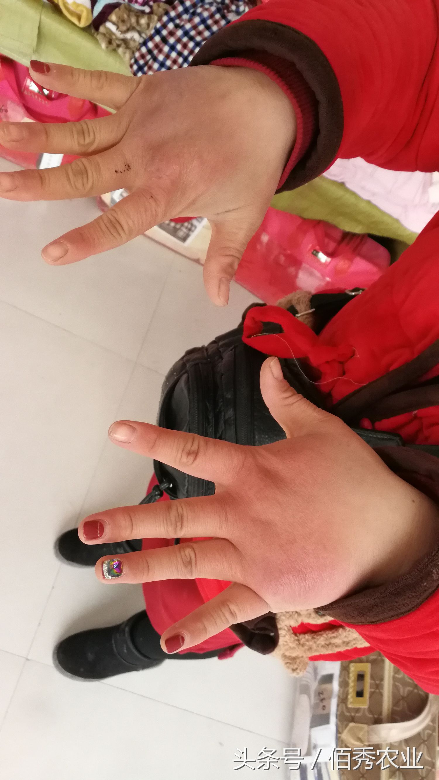 零下十来度冒严寒摆摊,农村女孩摆摊3个小时挣800