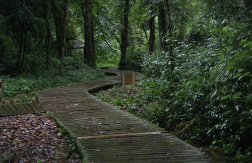 取名的艺术字网名,取名的艺术技巧