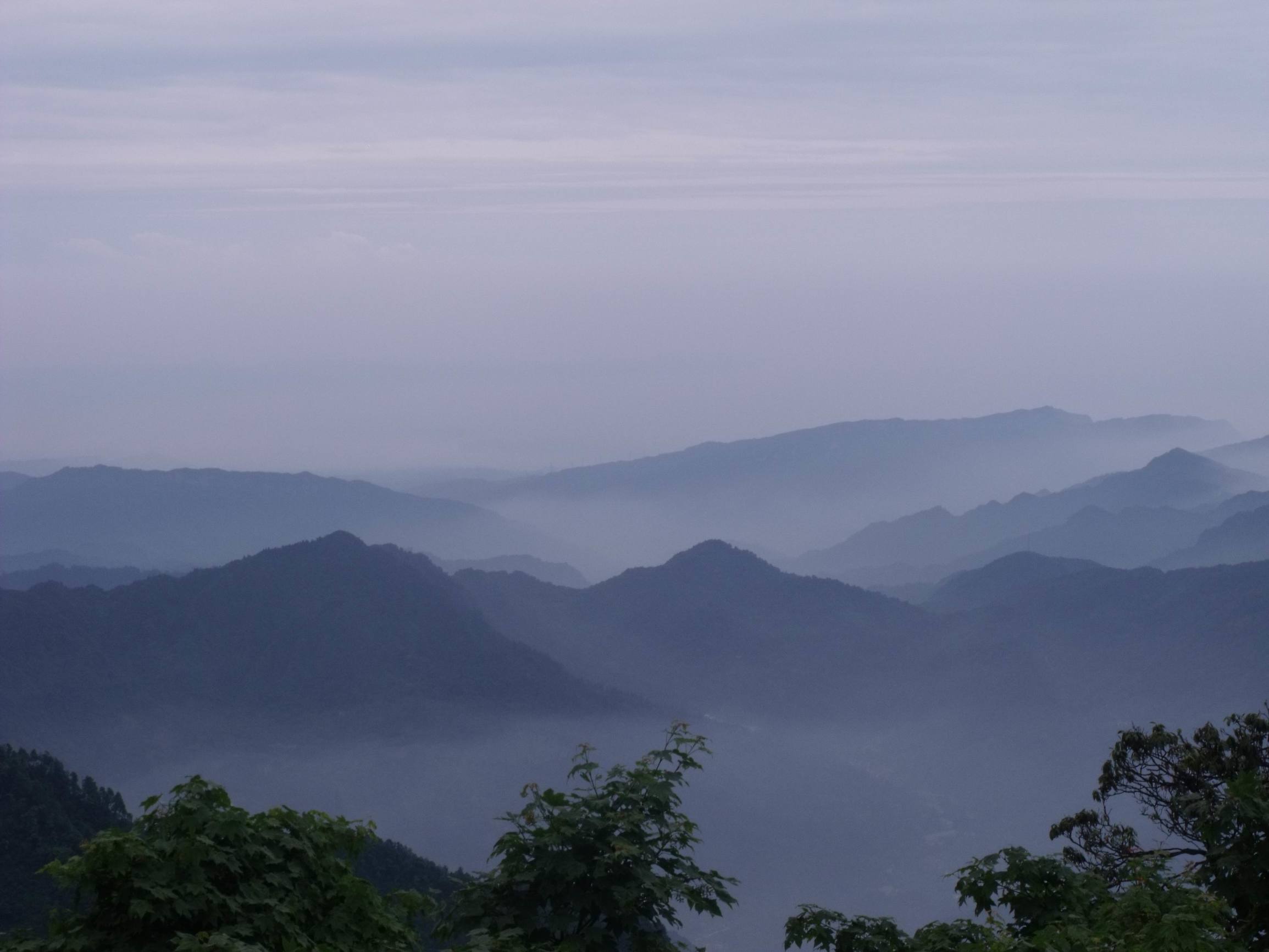 旅行青蛙现状,旅行青蛙为什么让人操碎心