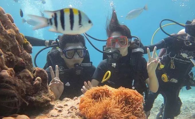 酷潜潜水普吉岛,普吉岛潜水不会游泳可以潜吗