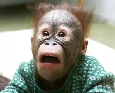 What?德国转机,兜里的旧iPhone也能被税!真相是