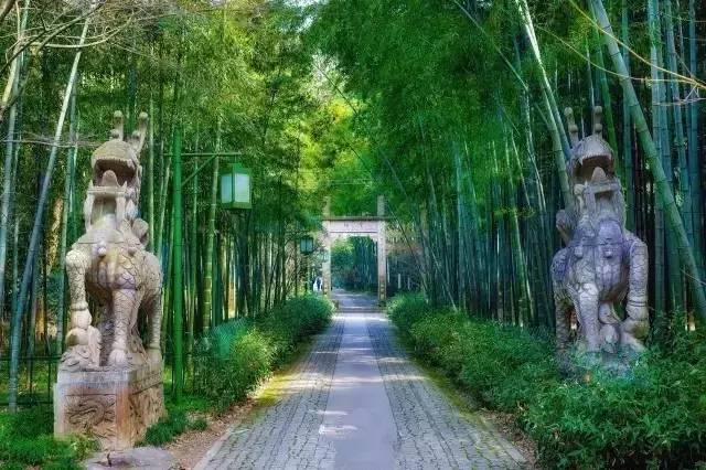 贵阳高铁旅游攻略一日游最佳路线,从贵阳出发高铁直达的景点