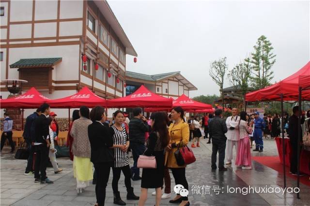 *卫强**书记为啥称赞龙虎山逍遥城“大项目,好手笔”?