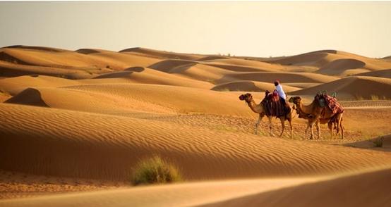 迪拜的营销方案,迪拜营销策略