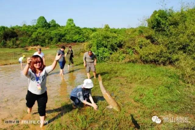 五一小长假去哪也不如回家陪爸妈,五一长假去旅游开心又快乐