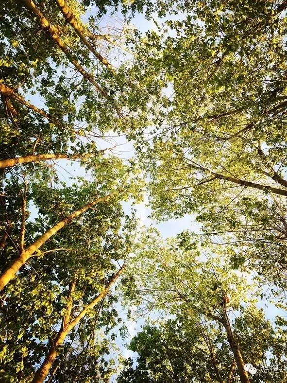 五一劳动节探险王国,五一假期丛林探险