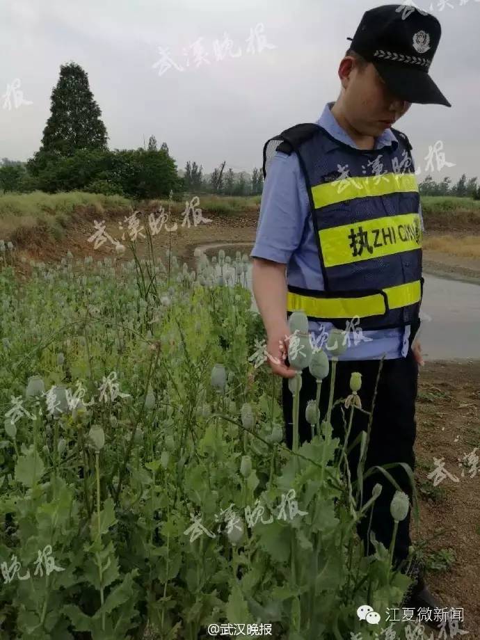 夫妻卖掉仅5天的亲生儿子,夫妻两个卖孩子