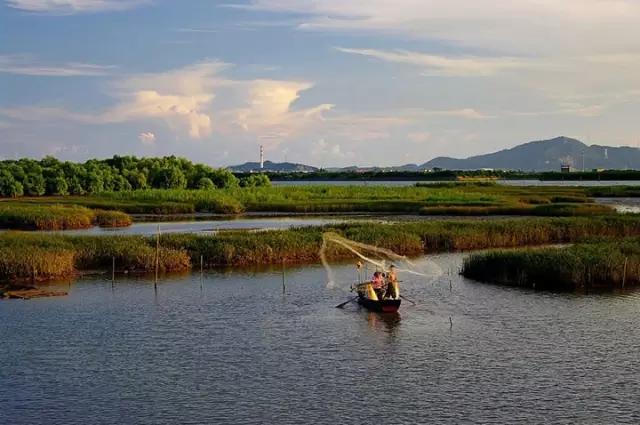 从a到z的26个拼音,从a到z的26个字母自然拼读