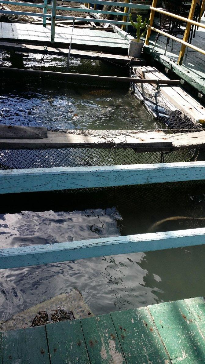 三亚周末亲子游最佳方案,三亚亲子游纯玩团