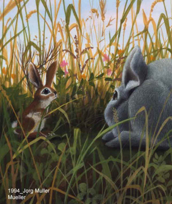 国际安徒生50周年插画展北京,国际安徒生奖世界插画大展沈阳站