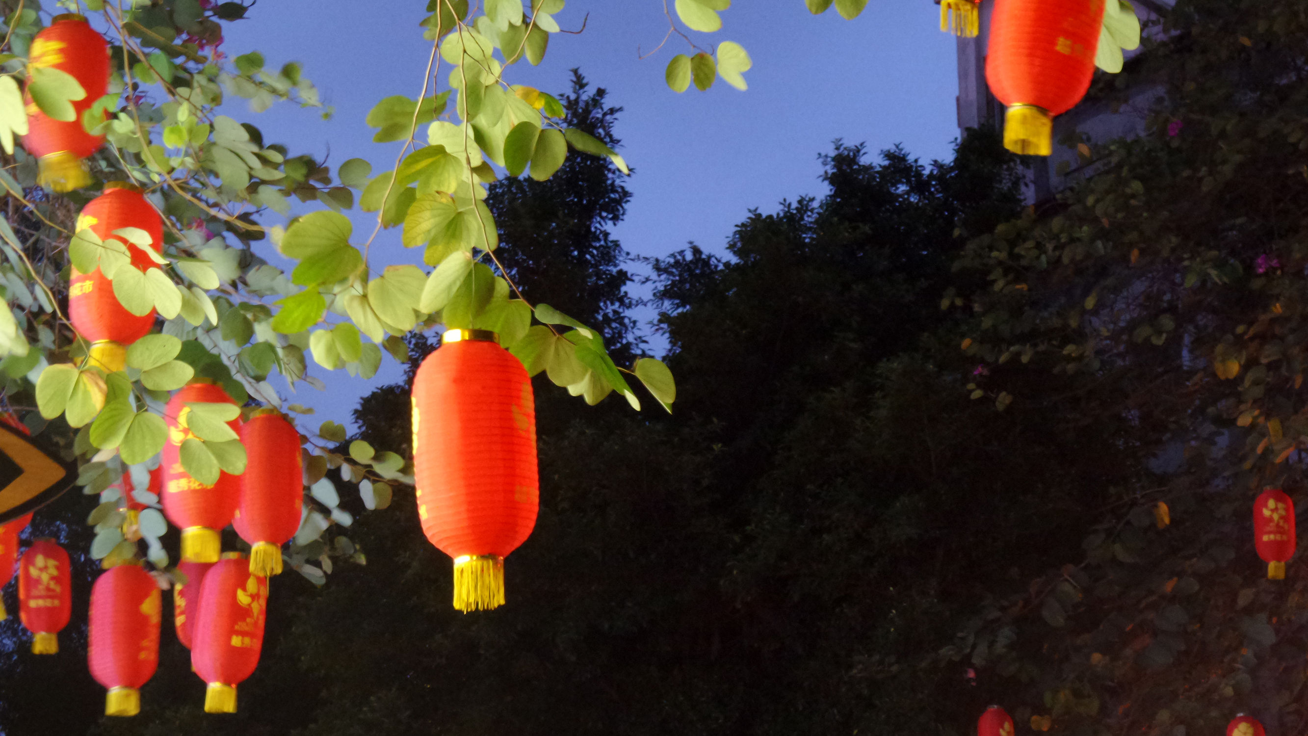 十倍光学变焦公认最好拍照手机,可变焦拍照神器