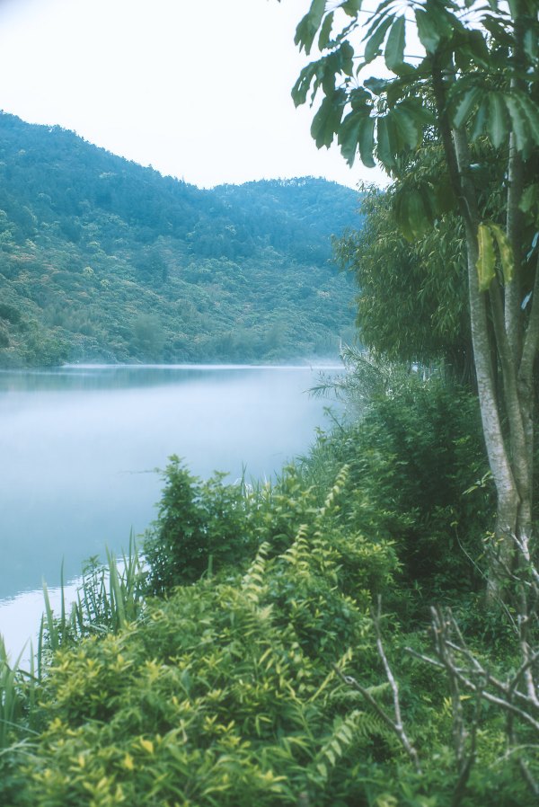 从化温泉之旅,从化文轩苑温泉攻略