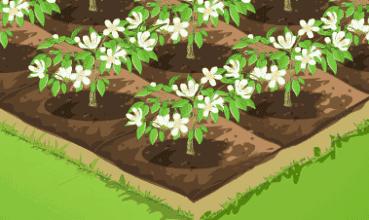 北美大叔玩起真实版开心农场，1平米菜园竟成国际潮流