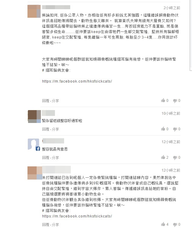 angelababy养折耳猫,angelababy养猫