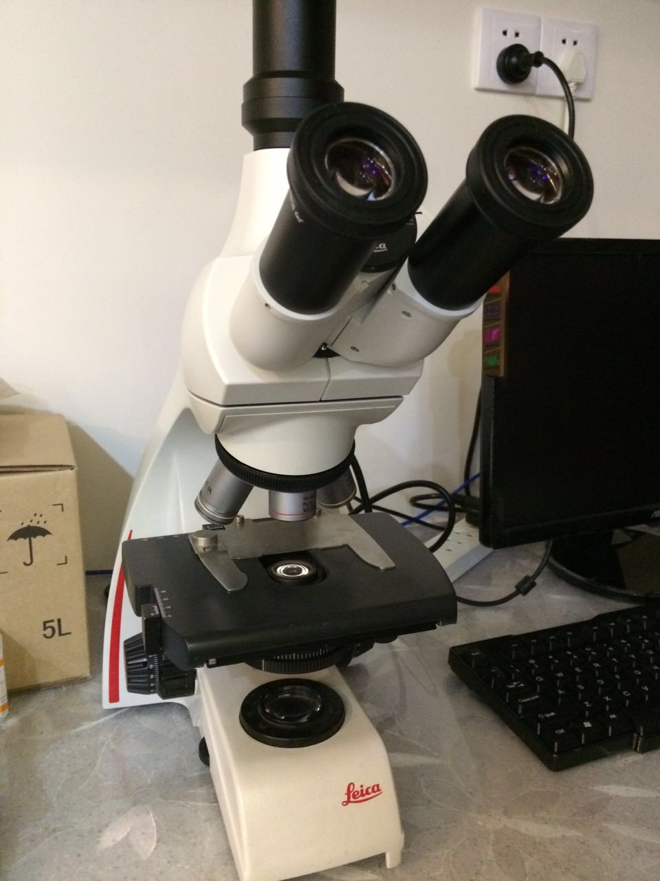 宠物医生如何预防狂犬病,宠物猫狗在什么环境下会得皮肤病