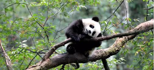 碧峰峡十月去耍怎么样,碧峰峡8月份雨季可以去耍吗