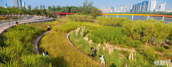 城市双修的缺点,什么是城市双修