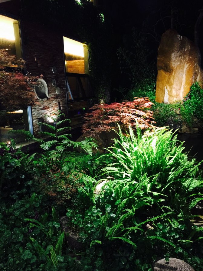 鼓浪屿自驾游全攻略,厦门鼓浪屿登岛全攻略