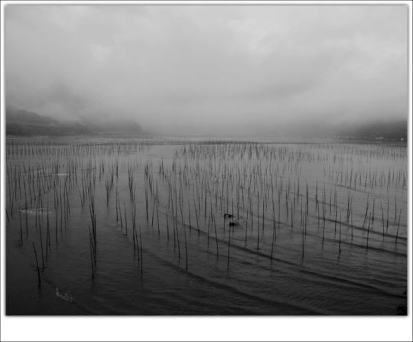 雨中霞浦，遗憾竟然也能如此之美！