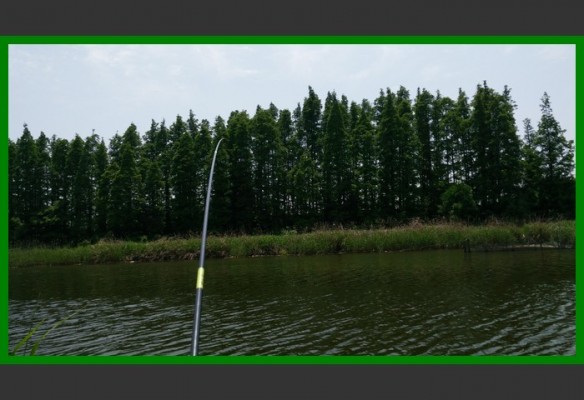 閲庨挀鐑х儰缁濅匠鐮佸ご,鎺ㄨ崘閽撻奔鐑х儰