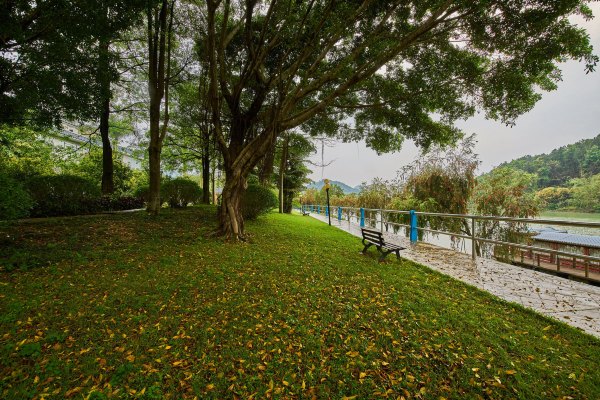 从化温泉之旅,从化文轩苑温泉攻略