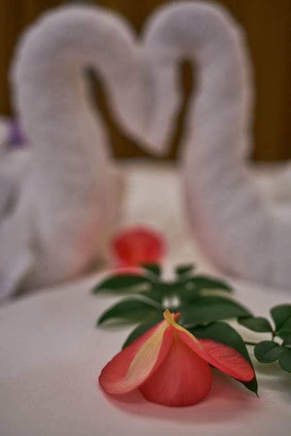 从化温泉之旅,从化文轩苑温泉攻略