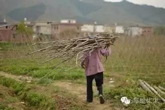 她带孩子去找有了外遇的老公,却被他的冷漠刺伤,贤妻也有傲骨