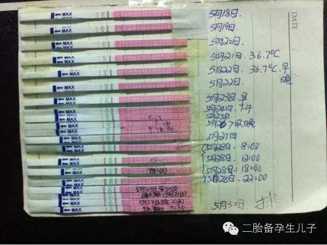 排卵试纸怎样确定排卵日,排卵试纸怎么用最准确图片