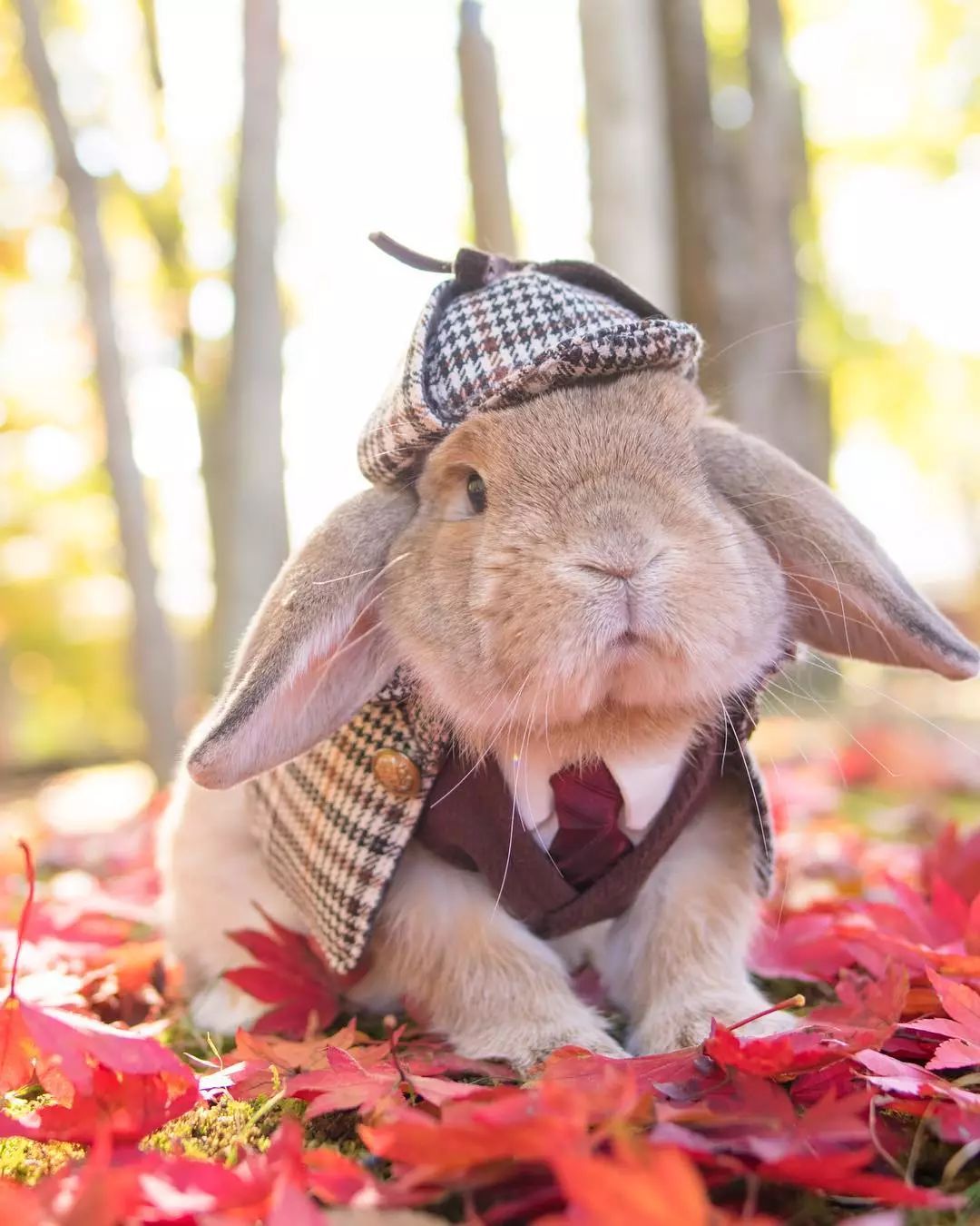 十二生肖驾到，时尚精们给我退下！