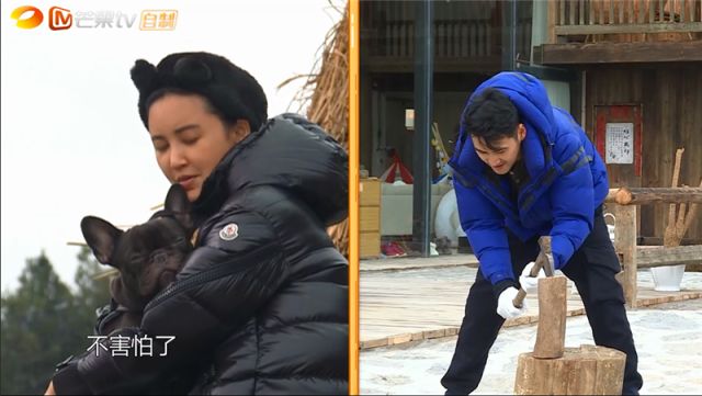 红心夫妇带队软萌宝贝和蠢萌宠物