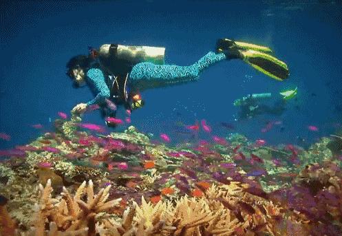 台湾最文艺的地方是哪里,台湾真正的文艺之地