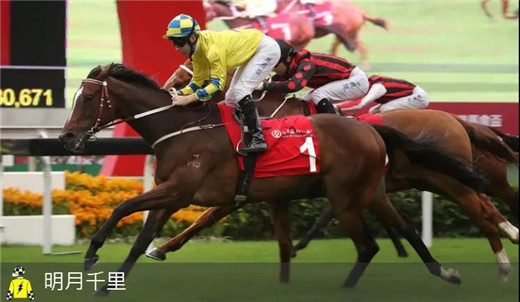 香港三冠大赛排名,香港首届三大冠军