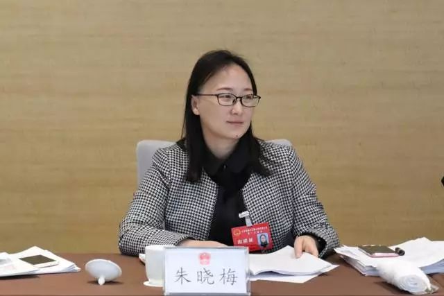 新时代检察履职解读十问,人大代表热议检察工作