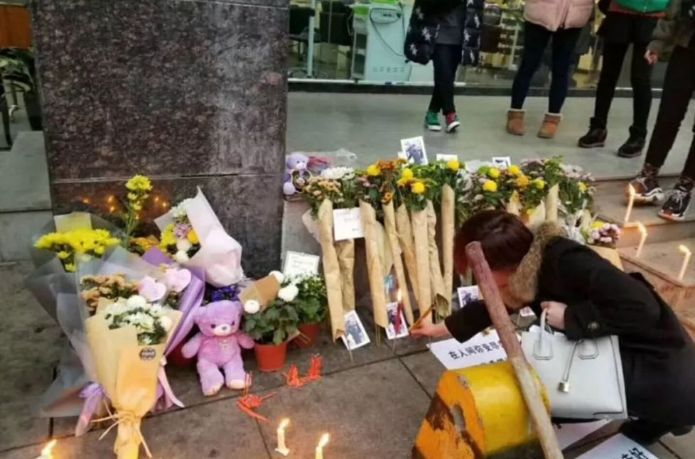 太原打死金毛事件的处理结果,长沙打死金毛事件