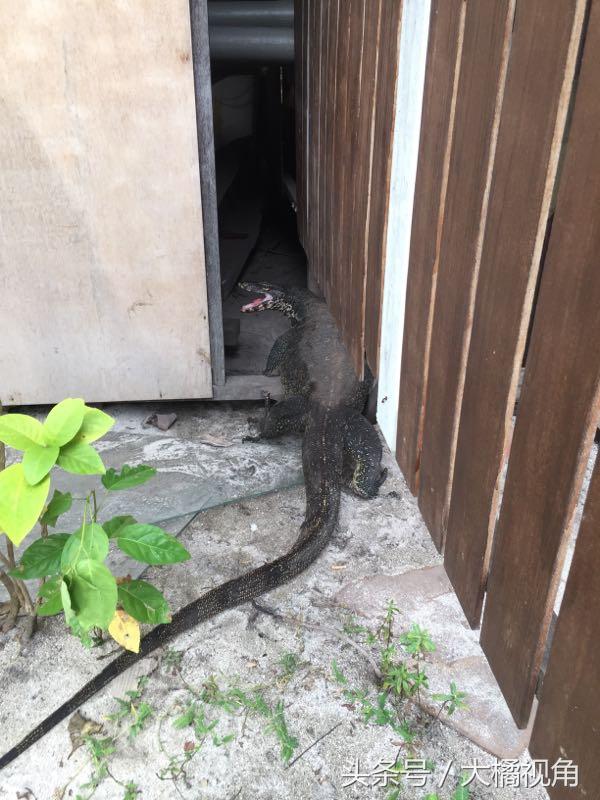 仙本那海岛游玩,仙本那海岛度假