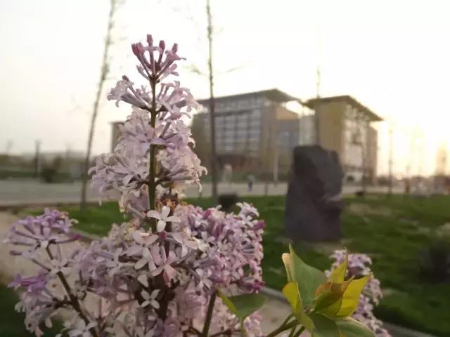 邯郸一中在全国怎么样,邯郸市一中省内排名