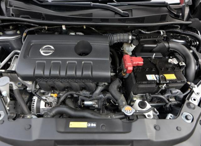 蓝鸟很丑,蓝鸟外形丑不丑