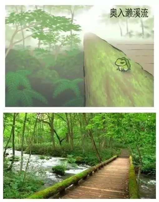 一只蛙的视频,一只蛙