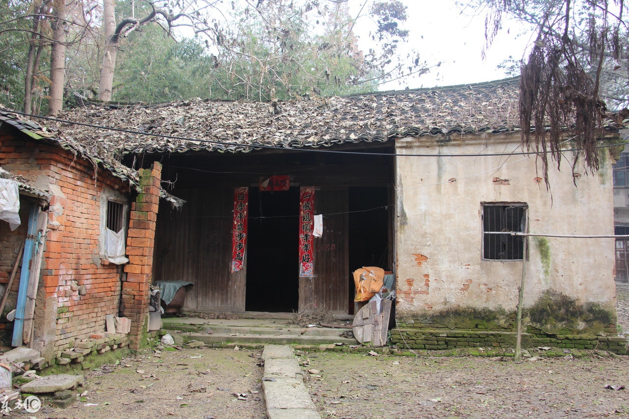 我的懒婆婆知乎,懒媳妇需要婆婆伺候