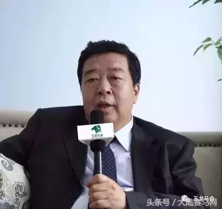 “吉祥如意”当选2017赛季玉龙马会年度马王:“赛事五魁”出炉