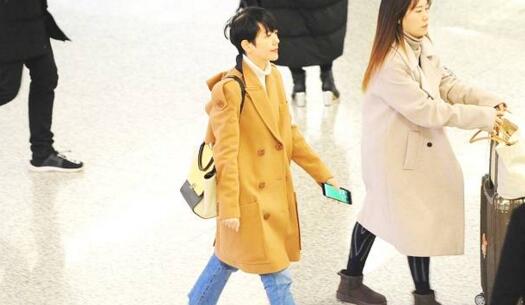 汪涵妻子杨乐乐事件,汪涵的妻子杨乐乐事件