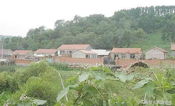 农村人到城里买房真实写照,农村人有没有必要去城里买房子