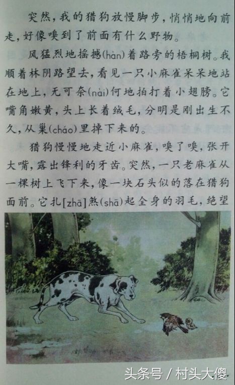 语文课本童年的回忆板书,小学语文课本回忆2012版