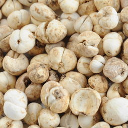 送礼新鲜玩意,从新疆去内地带什么特产