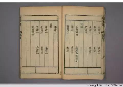 古人夏天如何养鱼,古人养鱼