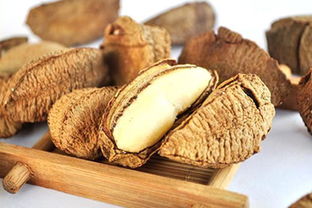 从新疆带什么特产给老人,送礼新鲜玩意