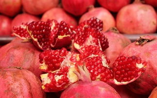 从新疆带什么特产给老人,送礼新鲜玩意