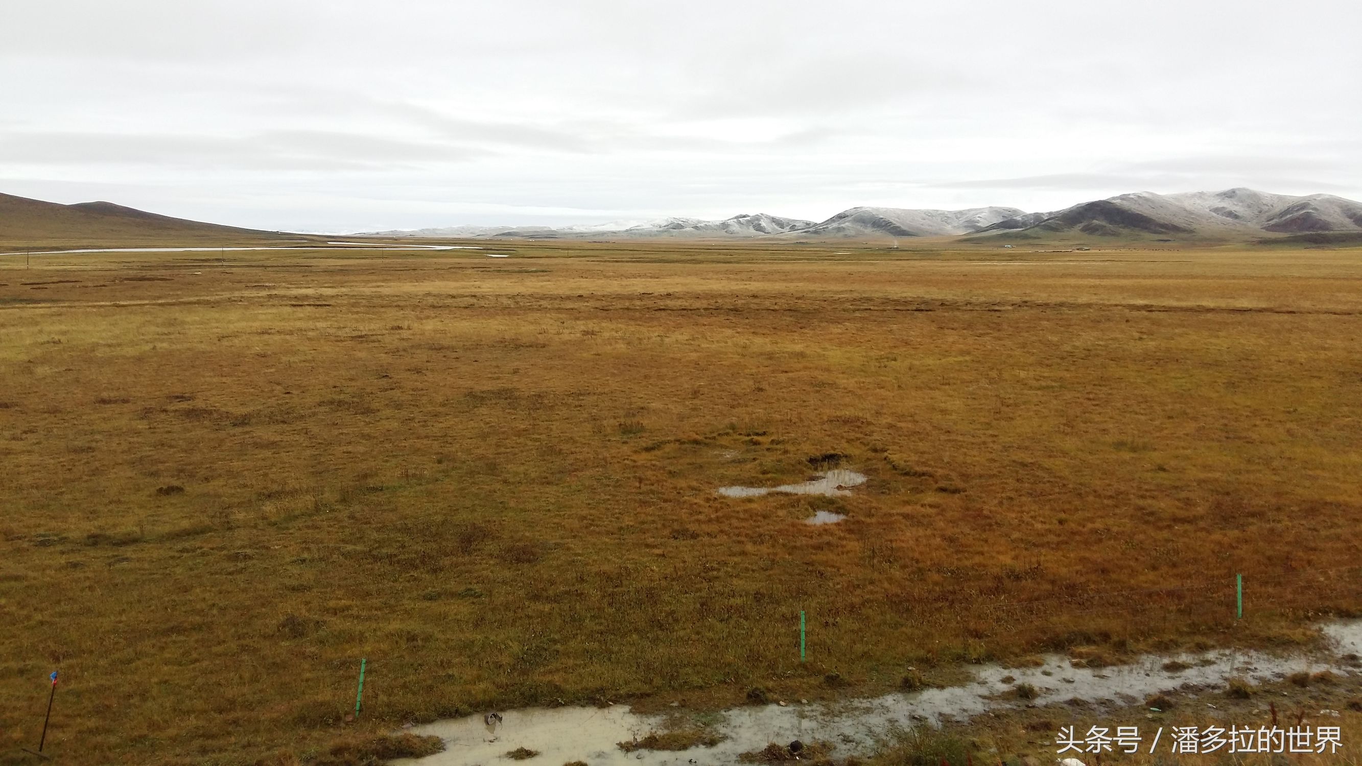 若尔盖大草原到底好不好玩,若尔盖大草原有没有沙漠
