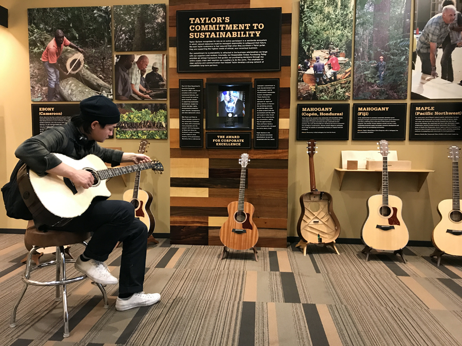吉他中国专访视频,taylor吉他全系列