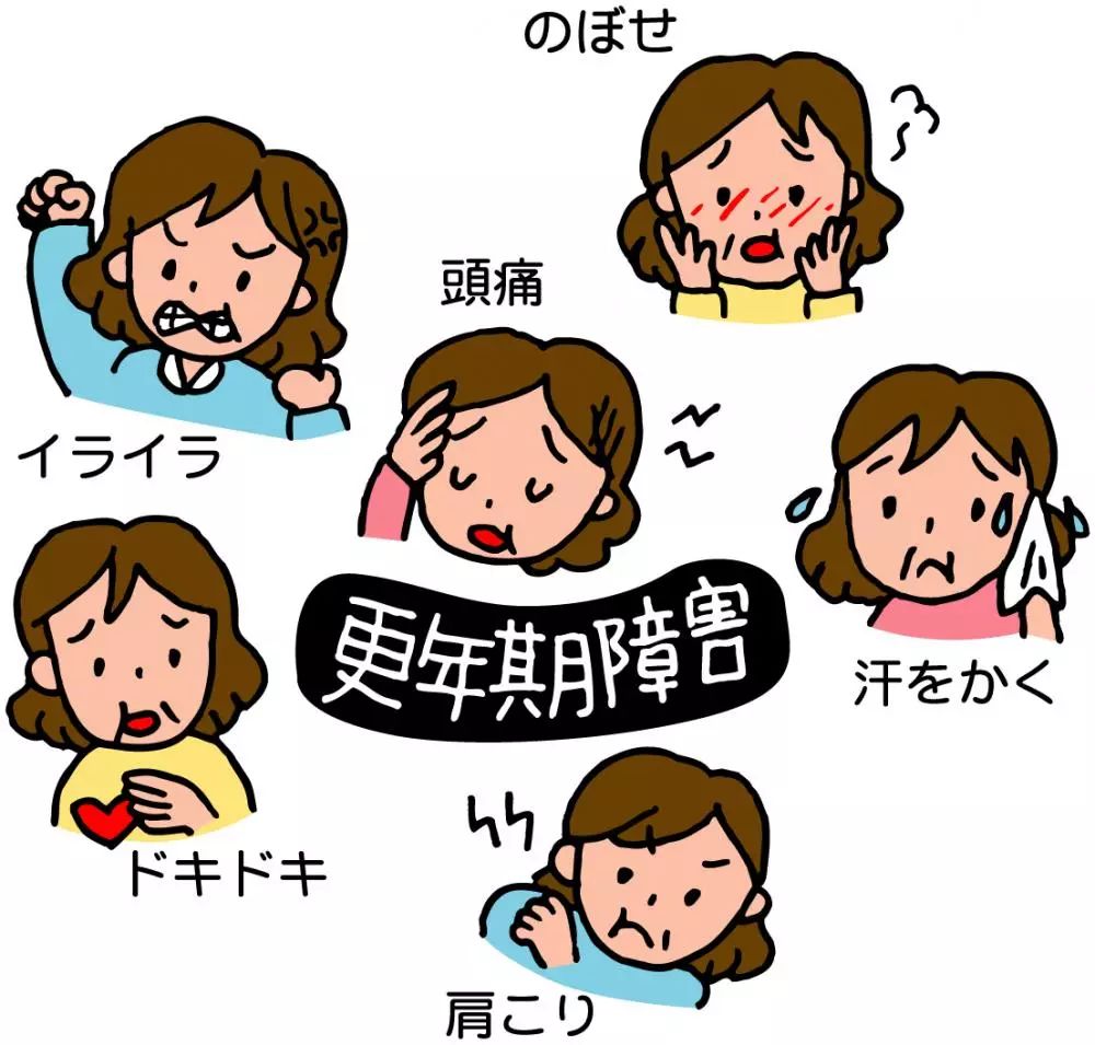 小林制药海外,小林制药海外旗舰